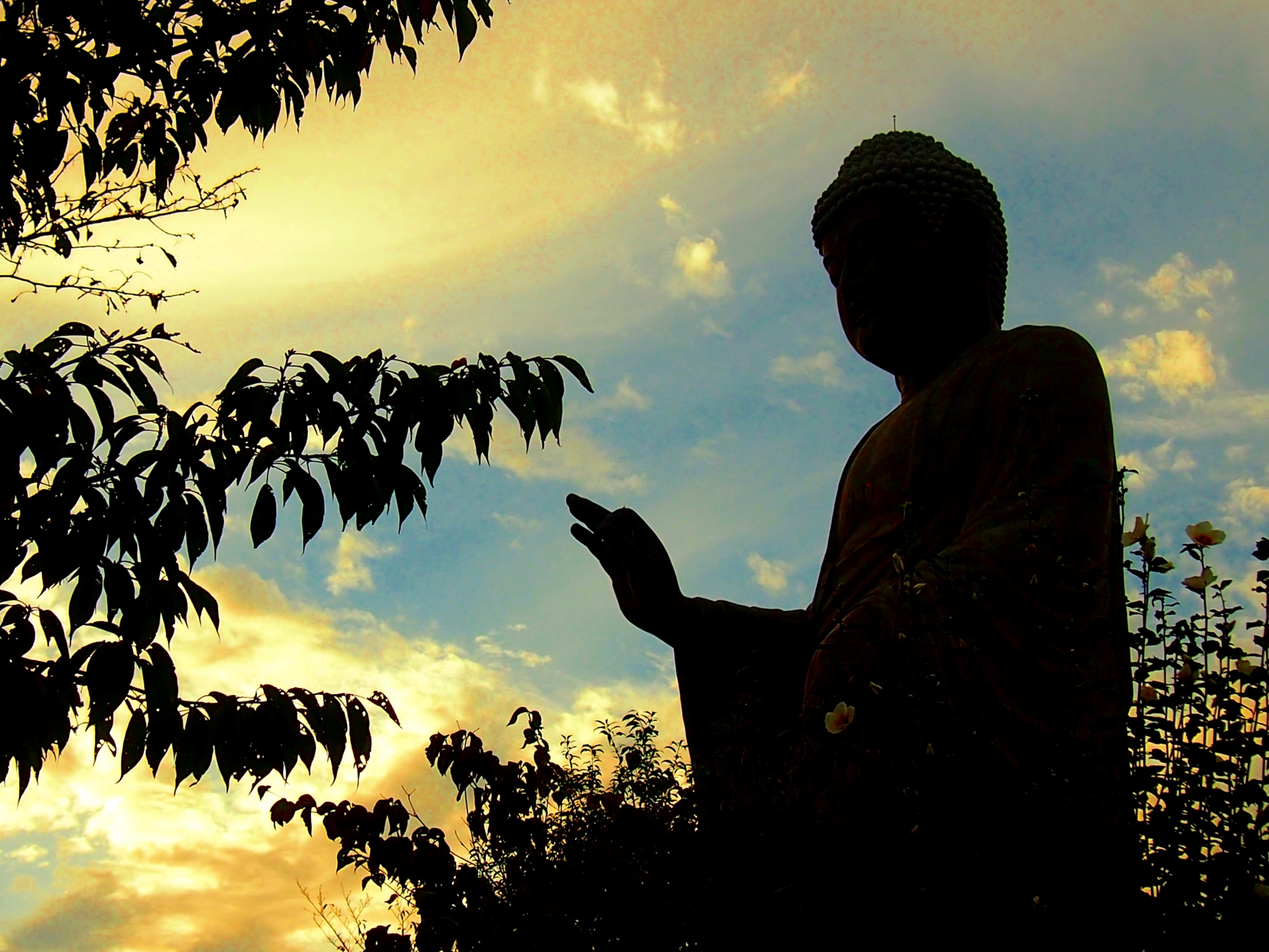 各宗派の崇拝するほとけさまの法力とは４ 日蓮宗 お仏壇のよしまる